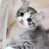 wwwwwtiktok742