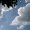 jaja_23533