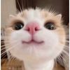 i_love_pets67