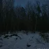 moonlight