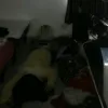 jenna_deluxe1