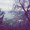 omarr_alshammeri