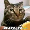arsyad.hafiz08