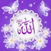 user2148130319007