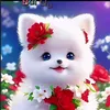 cao.cung15