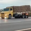 leoamaral8720
