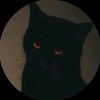 elvis.kim4