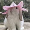 oum_zainab7