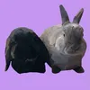 jagoda_maniek