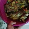 gacok.gabrul