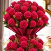 imran48260
