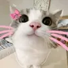 chloe1best