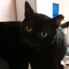 thomas_und_rocky