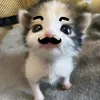 miiu_chtn