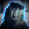 petro135_4