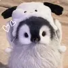 elyybunnch