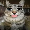 sqenivlt_