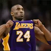 spider.basketball