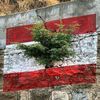 live.love.lebanon7