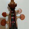 cello..567