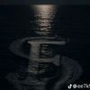 fati_3119