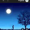 moonli573