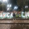 el.solitario5352