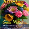 renelouis381gmail