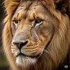 le.lion202