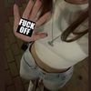 swer_zzi