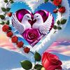 joud.perera