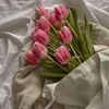 rore_850
