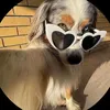 leonardotmm13108123