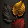 ahmett.awil.apdi