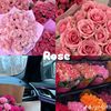 menna.fahmy42