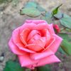 safa05702