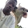tamsir.ndiaye49