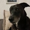 claudia.hentzsche8
