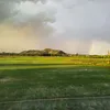 nvtflycam