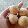 permatahati.1010