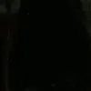 zoal_1