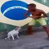 happy brazilian