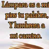 rufina.villegas