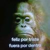 user27093079141026
