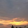 pdnrvt11