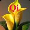 yasinsalman_55