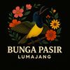 BUNGAPASIR