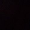 nznz777_