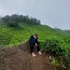 rendi.heelalll