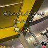 alonebo631
